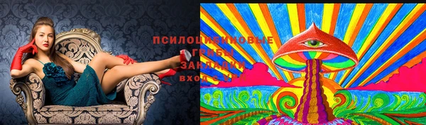 mdpv Магас