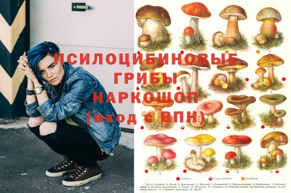 mdpv Магас