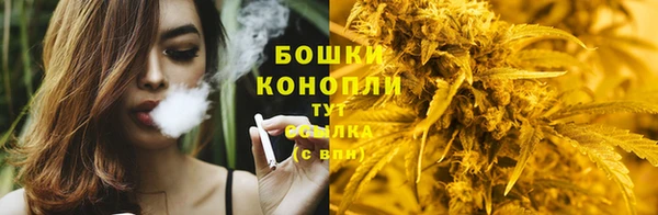 mdpv Магас