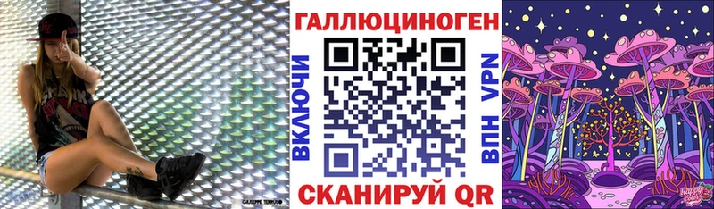 Галлюциногенные грибы Psilocybe Домодедово