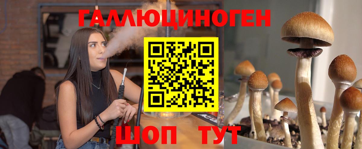 Псилоцибиновые грибы Psilocybine cubensis  Домодедово 